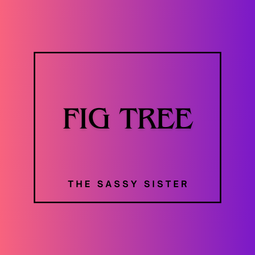 Car Hanging Oil Diffuser